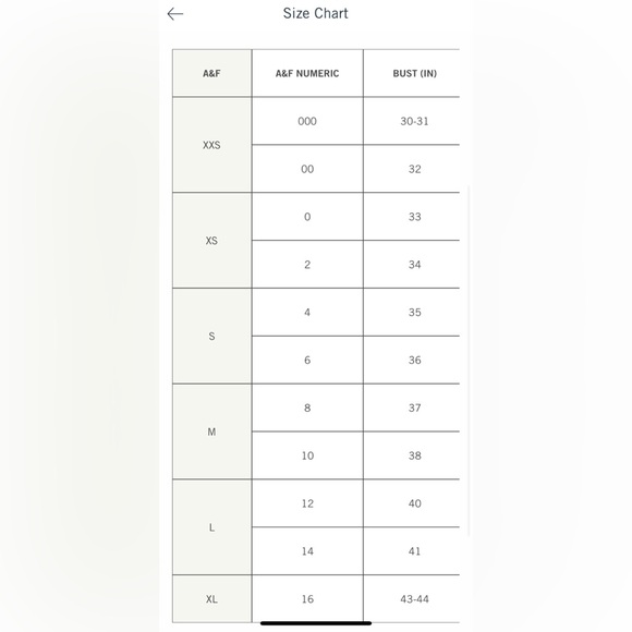 NWT | Never Worn | Abercrombie Shell Denim Dress | Large Tall | Light-wash - Picture 6 of 6